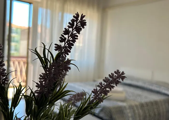 Rivierarent Ca Bolla Sul Mare Mtb Paradise